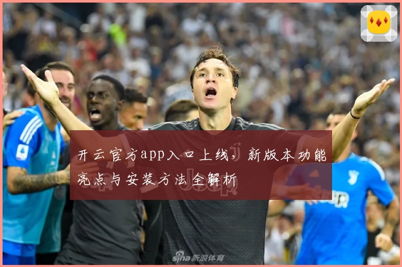 开云官方app入口上线，新版本功能亮点与安装方法全解析