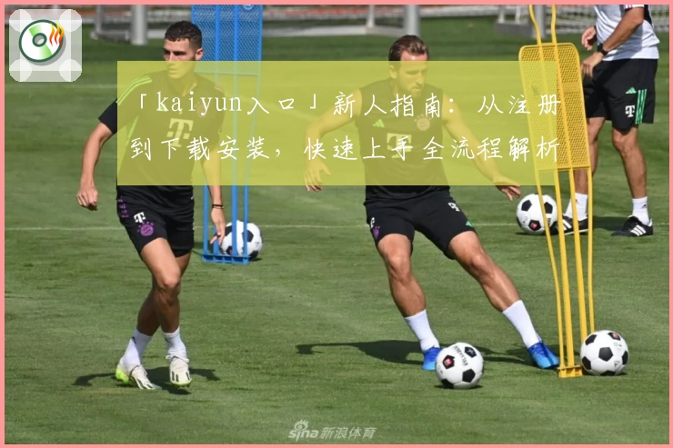 「kaiyun入口」新人指南：从注册到下载安装，快速上手全流程解析