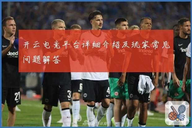 开云电竞平台详细介绍及玩家常见问题解答