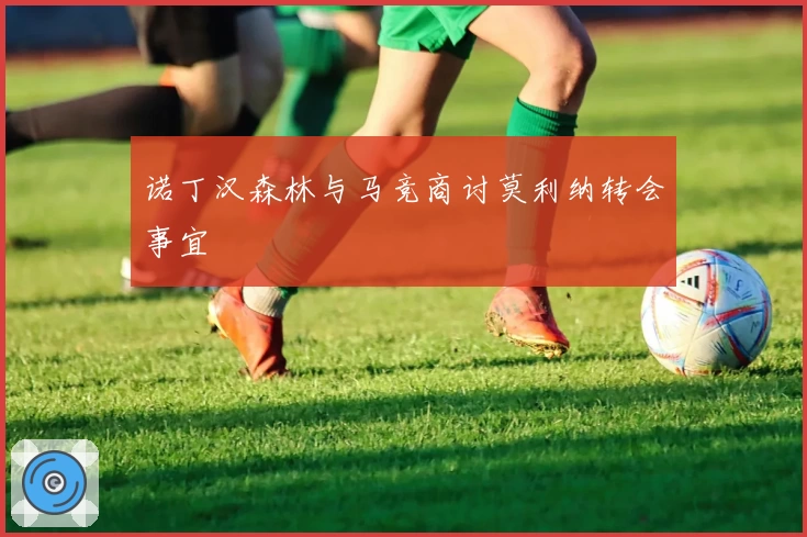 诺丁汉森林与马竞商讨莫利纳转会事宜